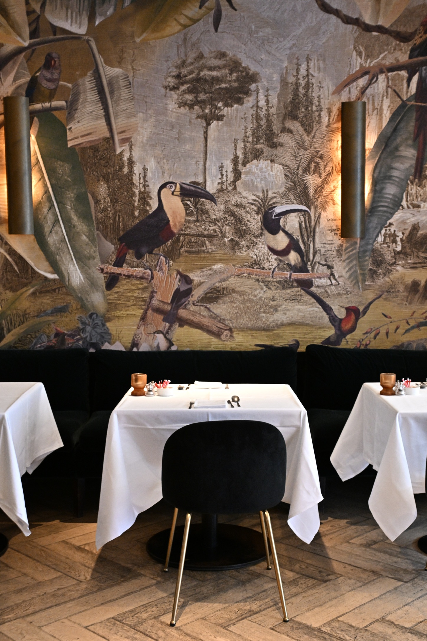 FRANQ dining room with laid tables and a toucan mural